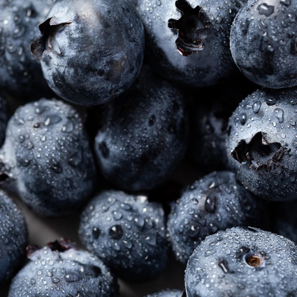 Honeybalm Blueberry SPF