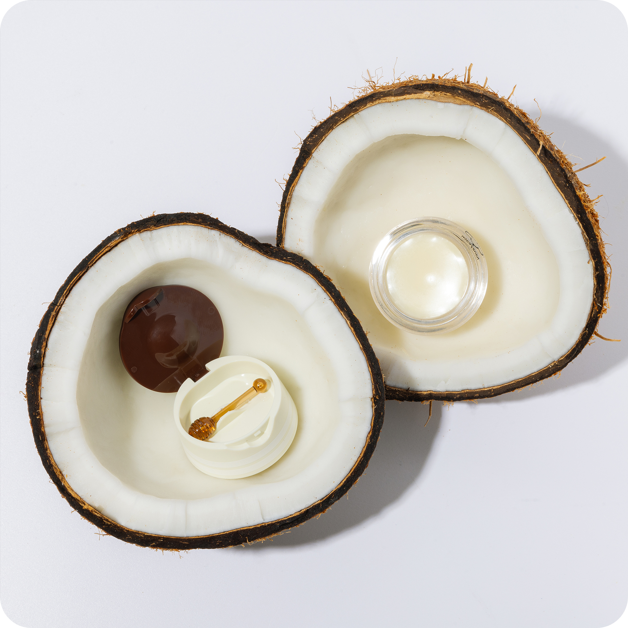 Honeybalm Coconut (3-Pack)