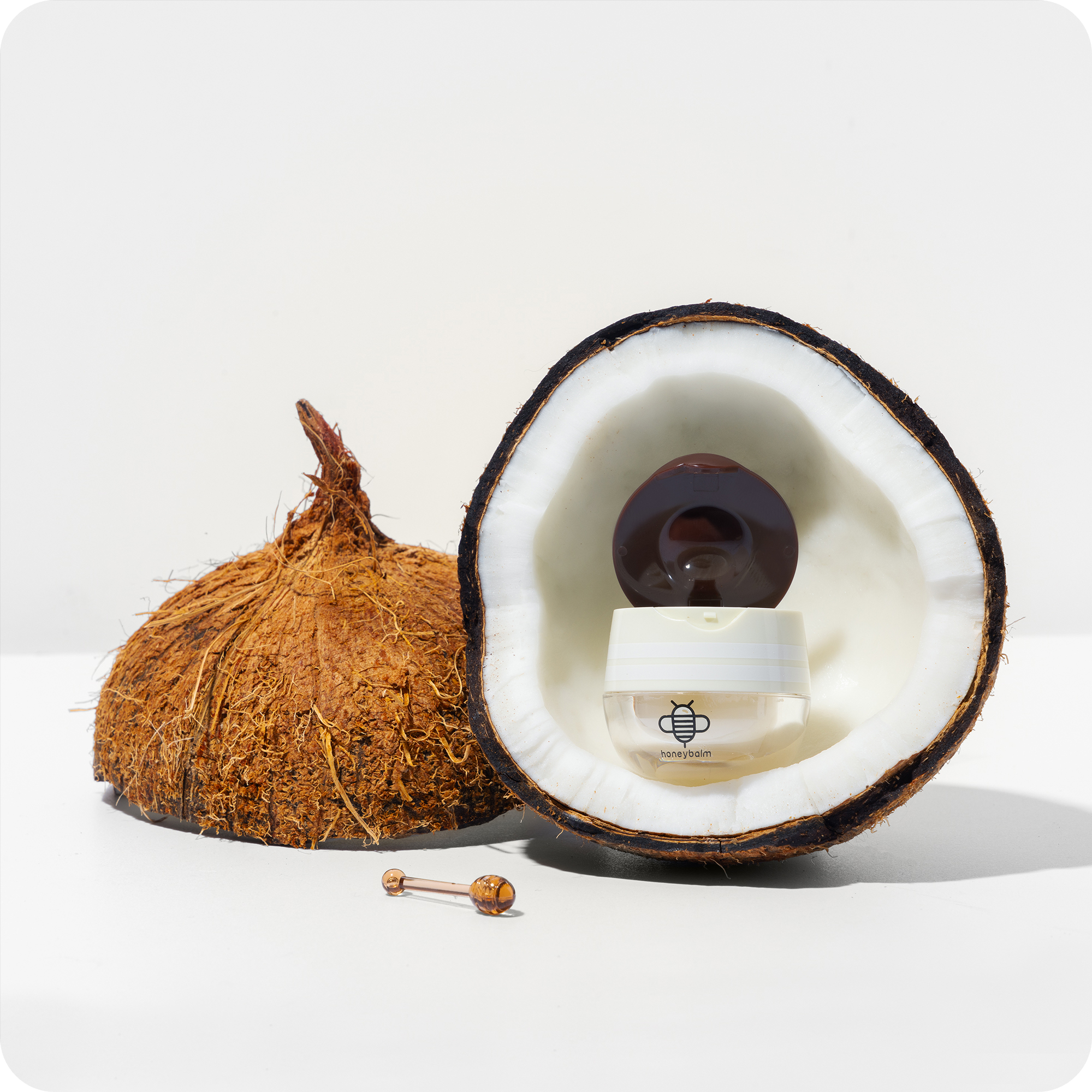 Honeybalm Coconut (5-Pack)